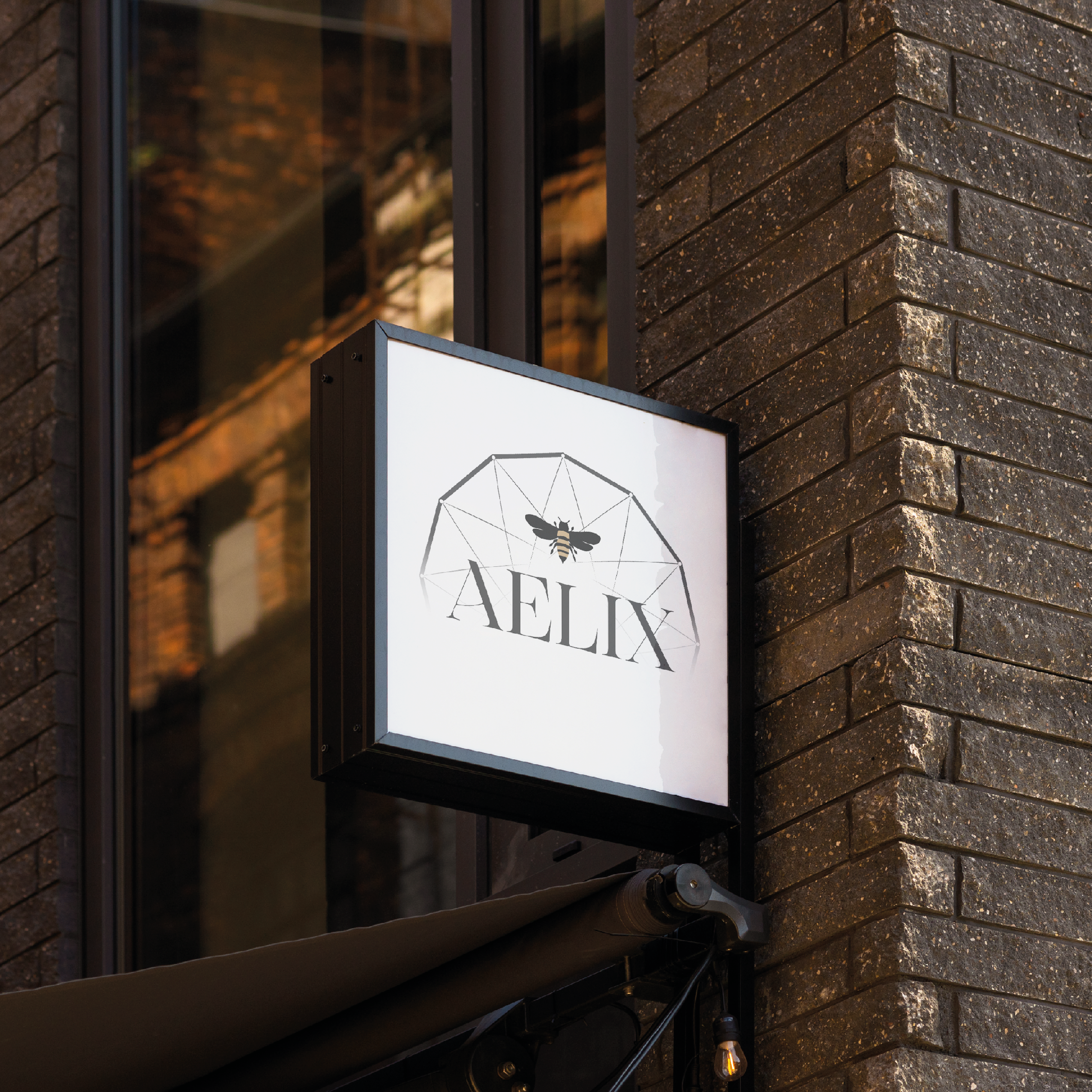 Logo Aelix