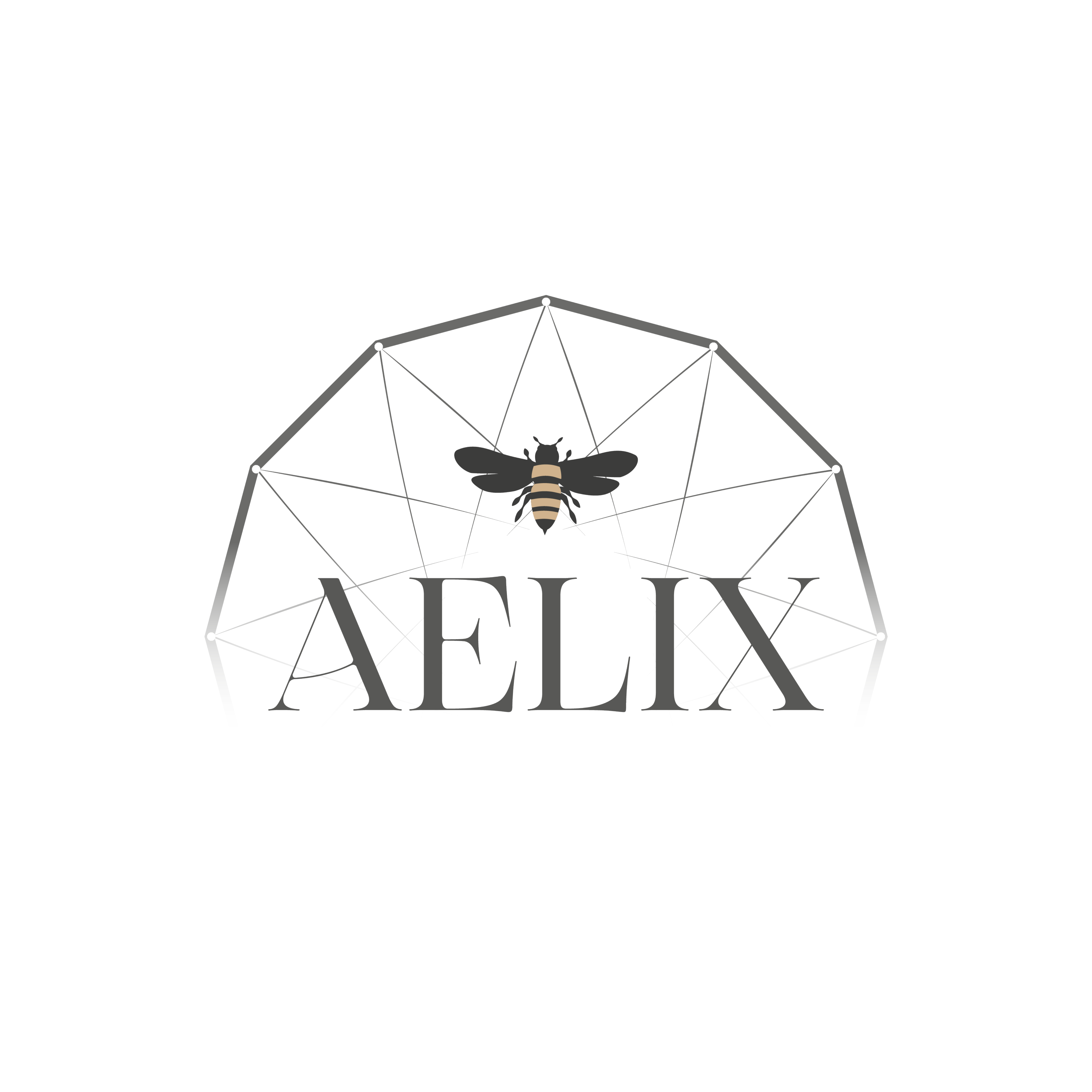 Logo Aelix